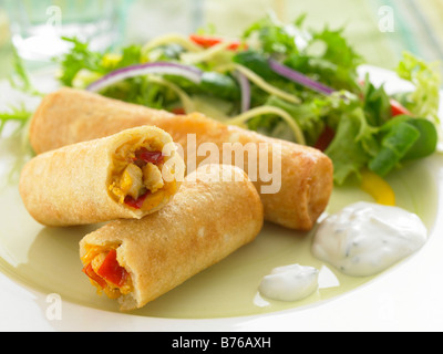 chicken and vegetable spring roll and salad Stock Photo