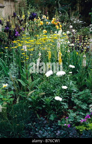 Yellow and white flowering herbaceous border Stock Photo