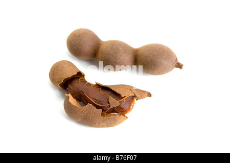 Tamarind pods laid out in a technical, botanical style. The sticky pulp surrounding inner seeds is used in flavourings. Stock Photo