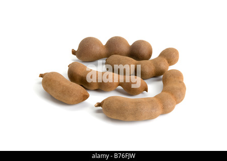 Five Tamarind pods on a white background. The sticky pulp surrounding inner seeds is used in flavourings. Stock Photo