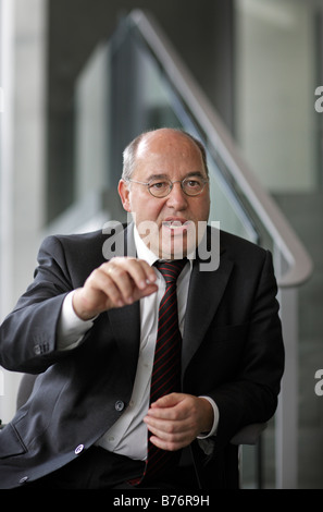 Gregor GYSI Chairman of the Parliamentary Group of the Left Party Die Linke Stock Photo