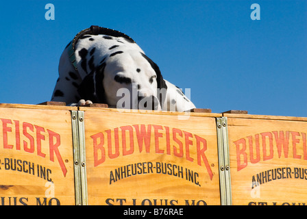 dalmatian resting on top of wooden beer cases Stock Photo