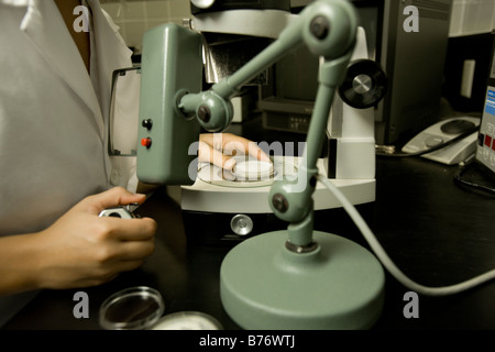 Scientist performing a bacteria count, Membrane filtration method, laboratory Stock Photo