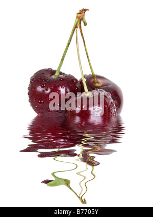 Fresh black cherries macro on a white background Stock Photo