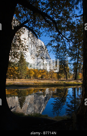 Autumn colors and the base of EL CAPITAN are reflected in the MERCED RIVER YOSEMITE NATIONAL PARK CALIFORNIA