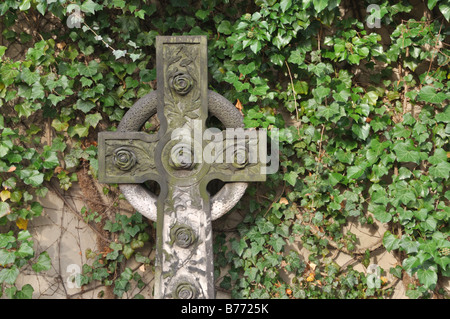 Common ivy (Hedera helix) and grave cross in front of wall Stock Photo