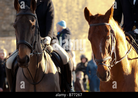 Teh Avon Vale Hunt on it's traditional Boxing day Fox Hunt Stock Photo