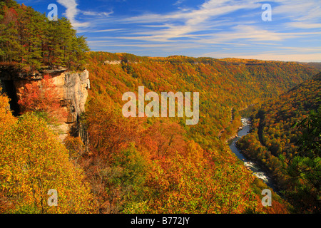 New River, Seen from Endless Wall Trail, New River Gorge National River, West Virginia, USA Stock Photo