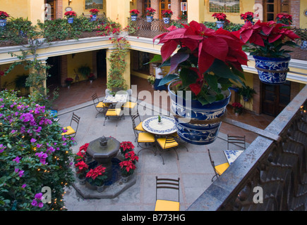 Potted POINSETTIAS & RESTAURANT COURTYARD in the hotel POSADA DE LAS MINAS MINERAL DE POZOS GUANAJUATO MEXICO Stock Photo