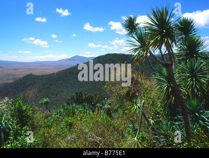 the great rift valley near nairobi in kenya, africa in 1984 Stock Photo