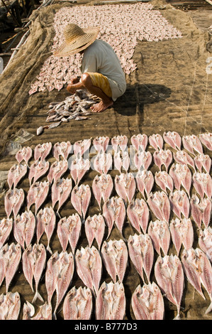 Traditional salted fish small industry in Terengganu, Malaysia. Stock Photo
