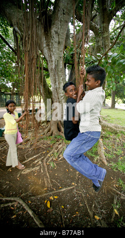 Children playing on tree swing of aerial roots, lianas, The Royal Botanical Gardens of Pampelmousse, Mauritius, Indian Ocean, A Stock Photo