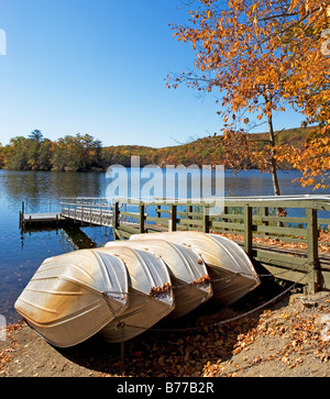 Row boats tied to dock Stock Photo