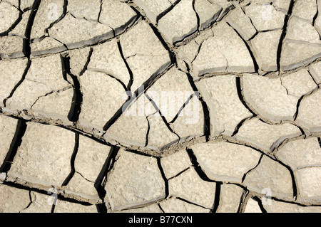 Parched ground, Camargue, Provence, Southern France, France, Europe Stock Photo