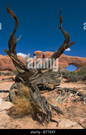 North Window Arch of Arches National Park, Utah Stock Photo