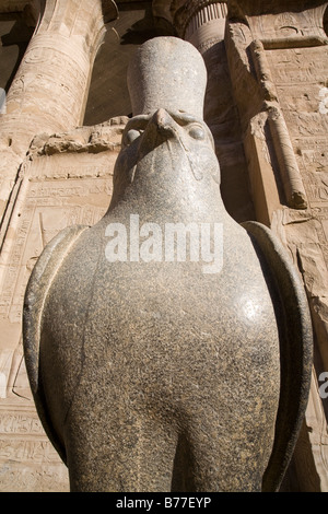 Horus statue at the Temple  of Horus at Edfu, Nile Valley Egypt. Stock Photo