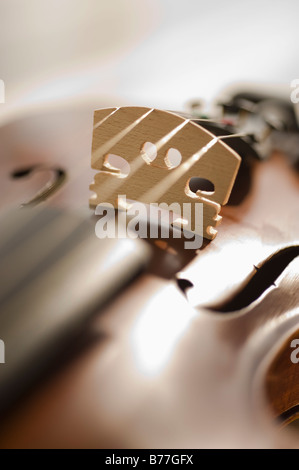 Close up of violin strings Stock Photo