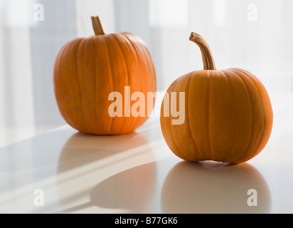 Two pumpkins Stock Photo