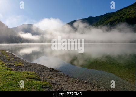 Plansee, Tyrol, Austria, Europe Stock Photo