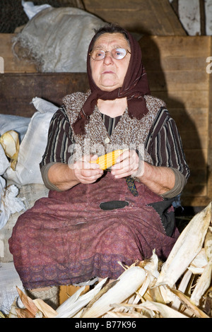 Romanian woman wearing a headscarf, holding maize, Bezded, Salaj, Transylvania, Romania, Europe Stock Photo