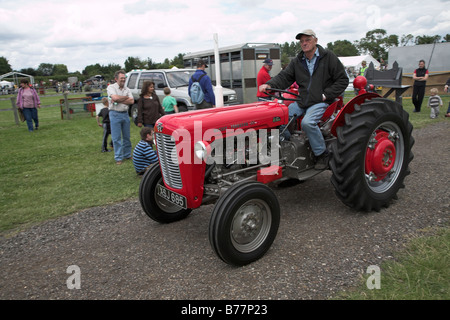 Vintage tractor display Suffolk Smallholders annual show Stonham Barns Suffolk England July 2008 Stock Photo