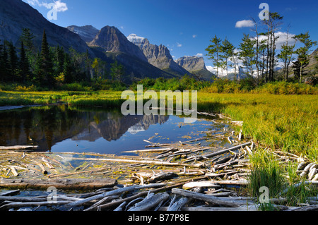 Driftwood on Lake Saint Mary, Glacier National Park, Montana, USA, North America
