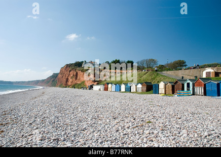 Pebble beach and beach huts at Budleigh Salterton Devon. Stock Photo