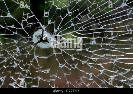 Shattered safety glass panel
