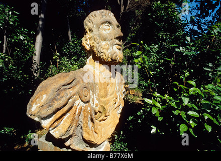 Villa Garzoni, baroque style garden, terracotta figure, bust of a bearded man, Collodi, Tuscany, Italy, Europe Stock Photo