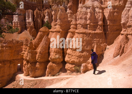 A hiker enjoys the views from the Queens Garden Trail in Bryce Amphitheater Bryce Canyon National Park Utah Stock Photo