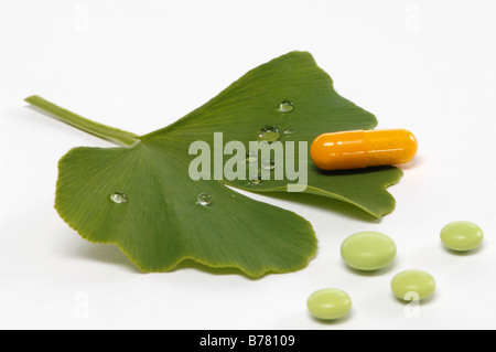 Gingko, Medicinal plant and pills, close up Stock Photo