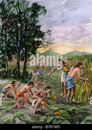 Moundbuilders gathering their crops of maize and squash. Hand-colored photogravure of an illustration Stock Photo