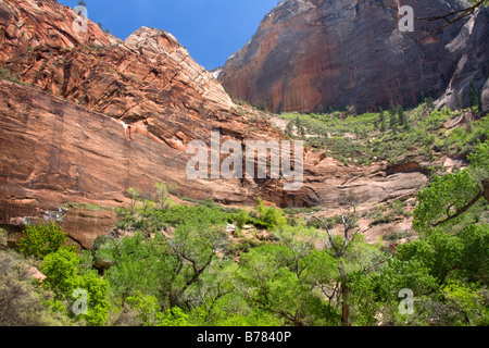 The vertical walls of Zion Canyon in Zion Canyon National Park Utah Stock Photo