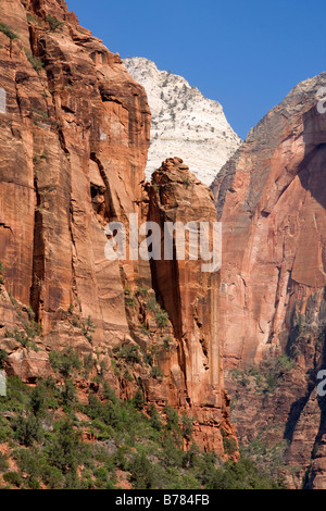 Vertical walls in Zion Canyon Zion National Park