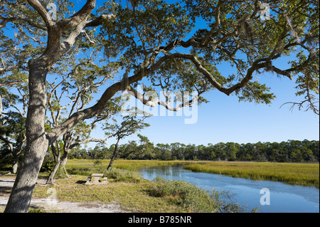 Clam Creek Picnic Area, Jekyll Island, Georgia, USA Stock Photo