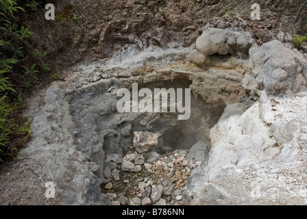 Geothermal feature at Orakei Korako, The Hidden Valley, near Taupo, New Zealand Stock Photo