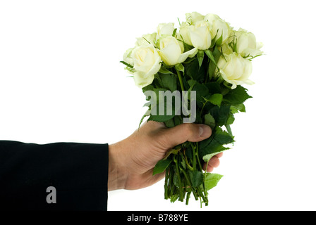 Beautiful roses isolated on white Stock Photo - Alamy