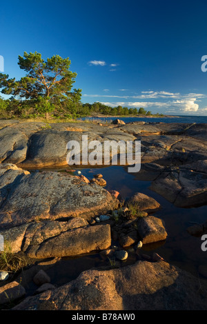 Stony coast of the Baltic sea at Aland islands in Finland Stock Photo