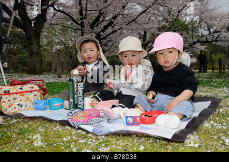 Japanese toddlers eating during the cherry blossom festivities at the Botanical Garden, Kyoto, Japan, Asia Stock Photo