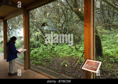 Information centre Laguna Grande in a cloud forest, Garajonay National Park, La Gomera, Canary Islands, Spain, Europe