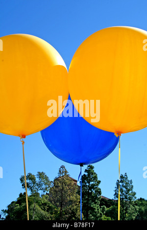 Three colorful helium balloons Stock Photo