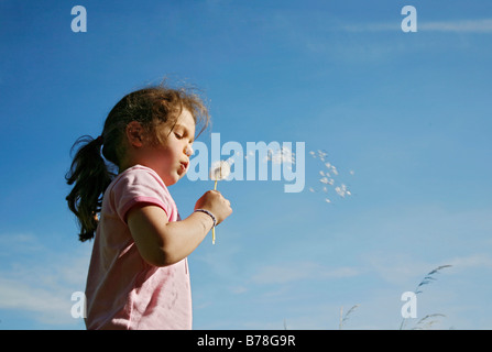Girl, 5 years, blowing blowballs, dandelion seeds (Taraxacum officinale), Switzerland, Europe Stock Photo