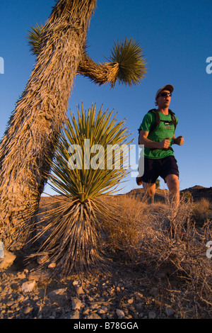 A man running by a Joshua Tree at sunset near Lone Pine in California Stock Photo