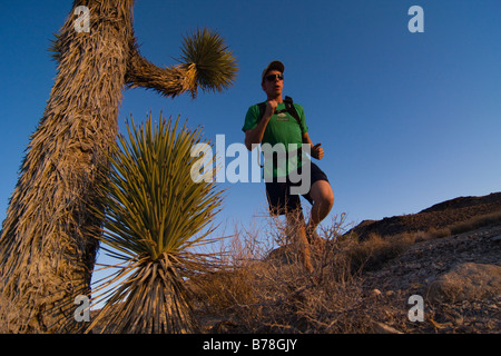 A man running by a Joshua Tree at sunset near Lone Pine in California Stock Photo