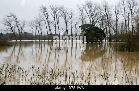 A Flooded Field in Winter Stock Photo