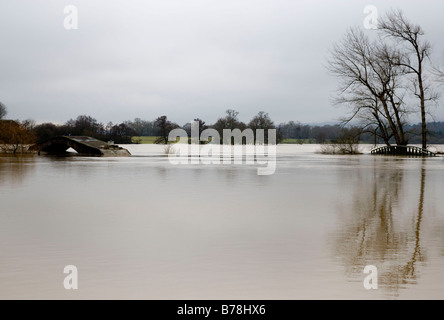 A Flooded Field in Winter Stock Photo