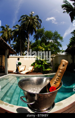 Champagne in champagne cooler at private swimming pool, deluxe suites in Laguna Resort, The Maldives, Indian Ocean Stock Photo