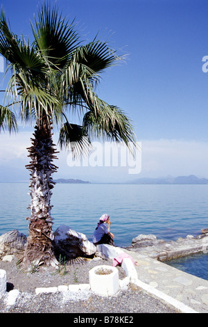 Palm tree at Lake Koeycegiz, thermal bath with hot spring water in Sultaniye, Dalyan in the Mugla Province, Turkey Stock Photo