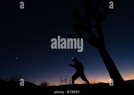 A silhouette of a man hiking by a Joshua Tree at sunset near Lone Pine in California Stock Photo