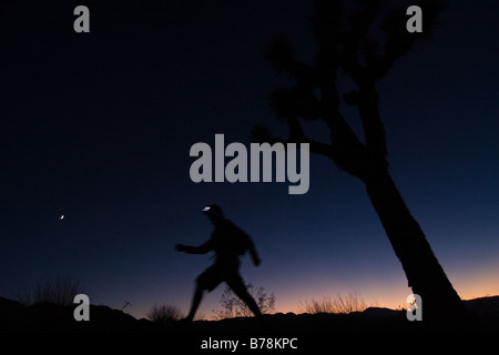 A silhouette of a man hiking by a Joshua Tree at sunset near Lone Pine in California Stock Photo